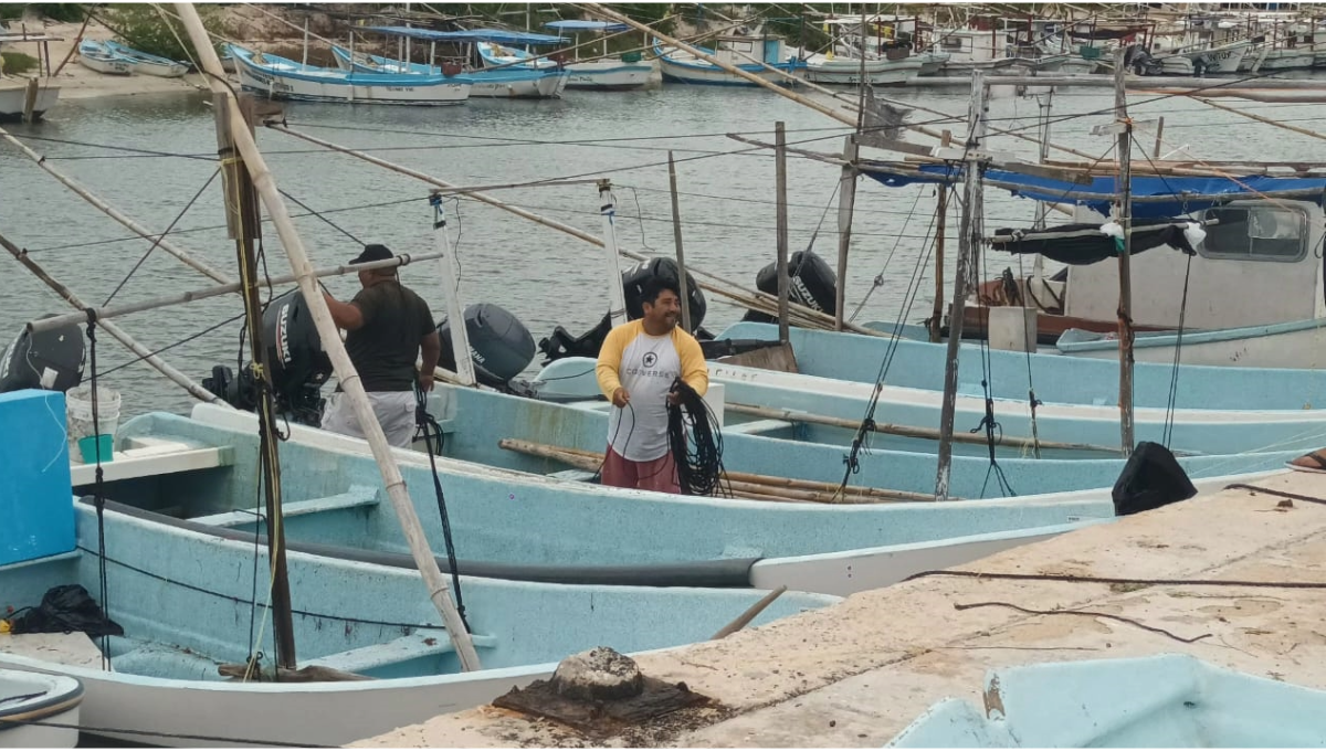 Fiebre de pulpo decepciona a pescadores de Sinanché y Yobaín