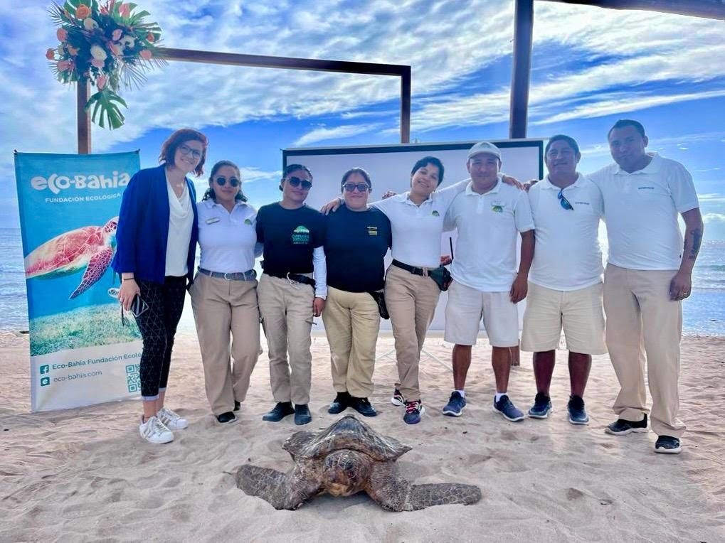 Ambientalistas logran registrar más de 1000 nidos de tortugas marinas