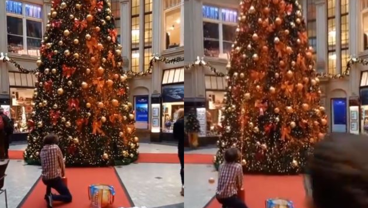 Los árboles de Navidad de plazas de al menos siete ciudades fueron pintados de naranja