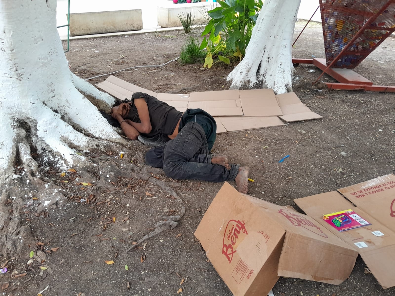 "El Jarocho" lleva años deambulando en el municipio de Escárcega