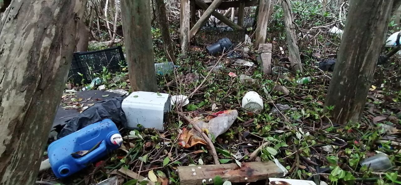 Sólo voluntarios realizan jornadas de aseo, y únicamente una vez al año