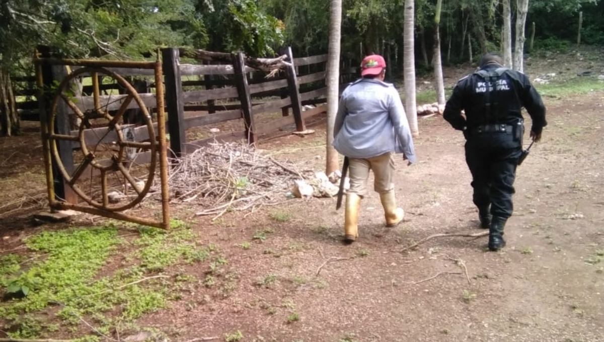 El velador pidió ayuda a los servidores de emergencia