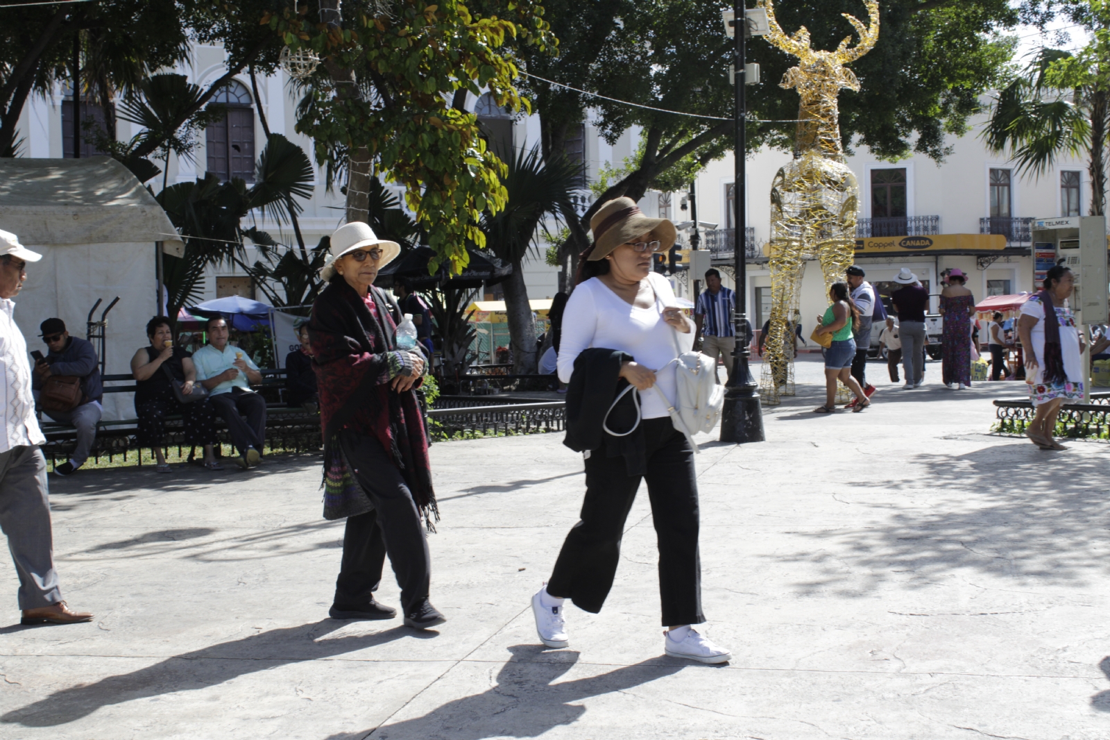 Se espera que se mantengan las temperaturas frescas este martes