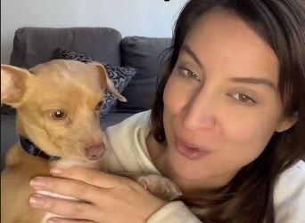 Su mascota cuenta con certificado de apoyo emocional