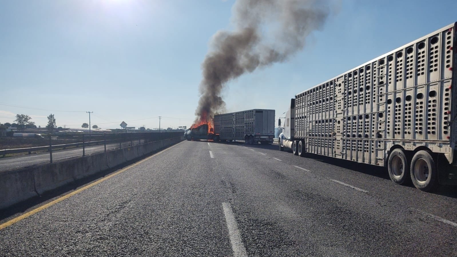Así se vivió el enfrentamiento de esta tarde en Jalisco