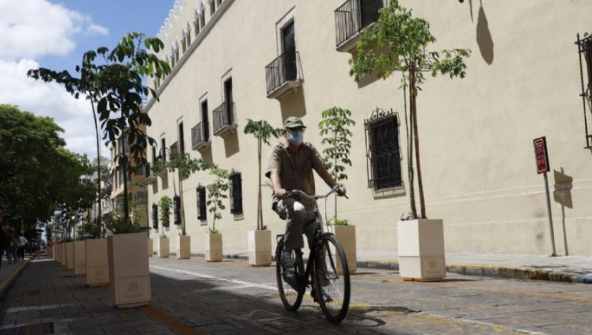 En Yucatán prevé viento de componente sur (surada) con rachas de 40 a 60 km/h En Yucatán prevé viento de componente sur (surada) con rachas de 40 a 60 km/h