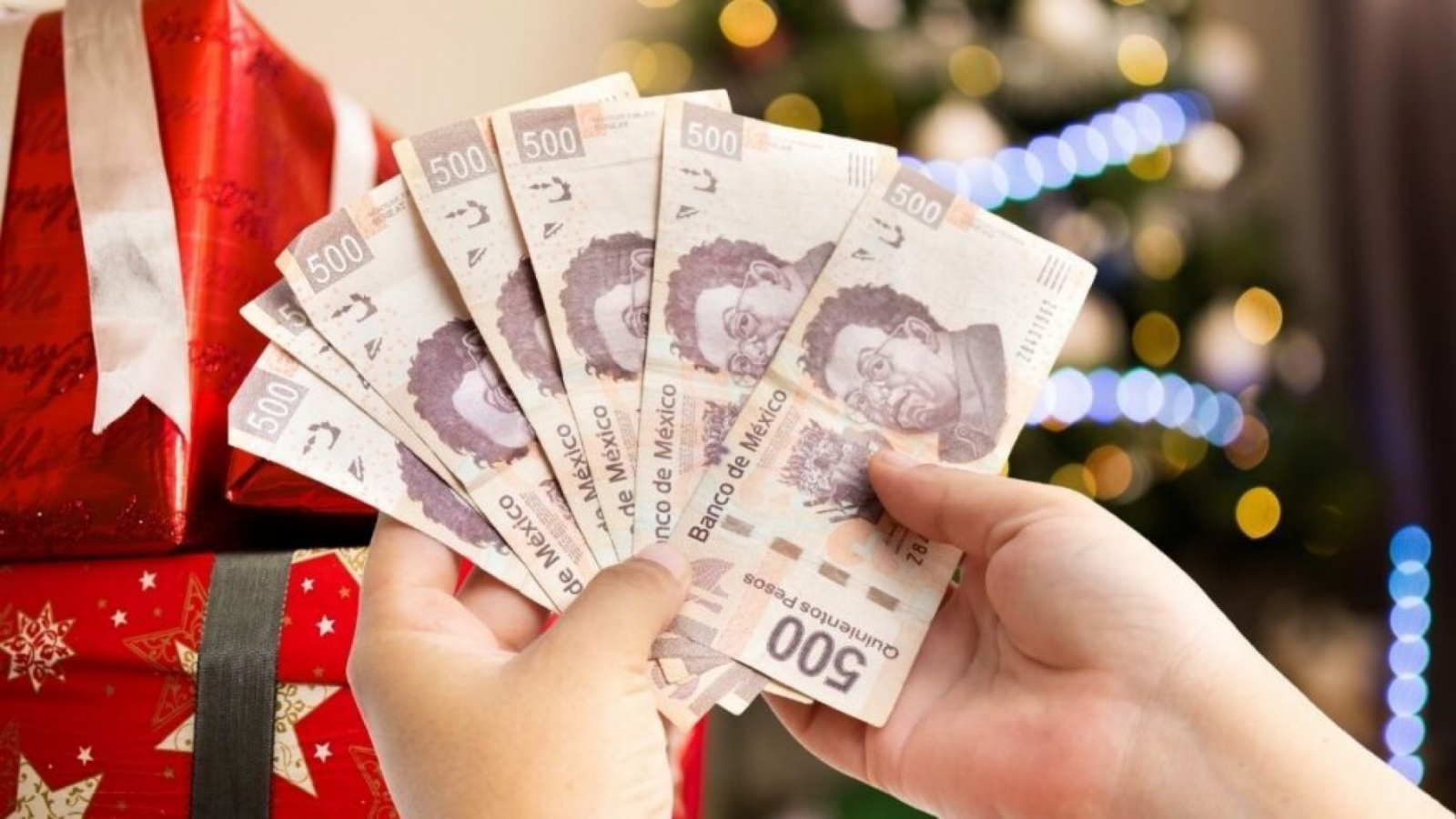¿Qué hacer si no recibí mi pago de aguinaldo 2023? ¿Qué hacer si no recibí mi pago de aguinaldo 2023?