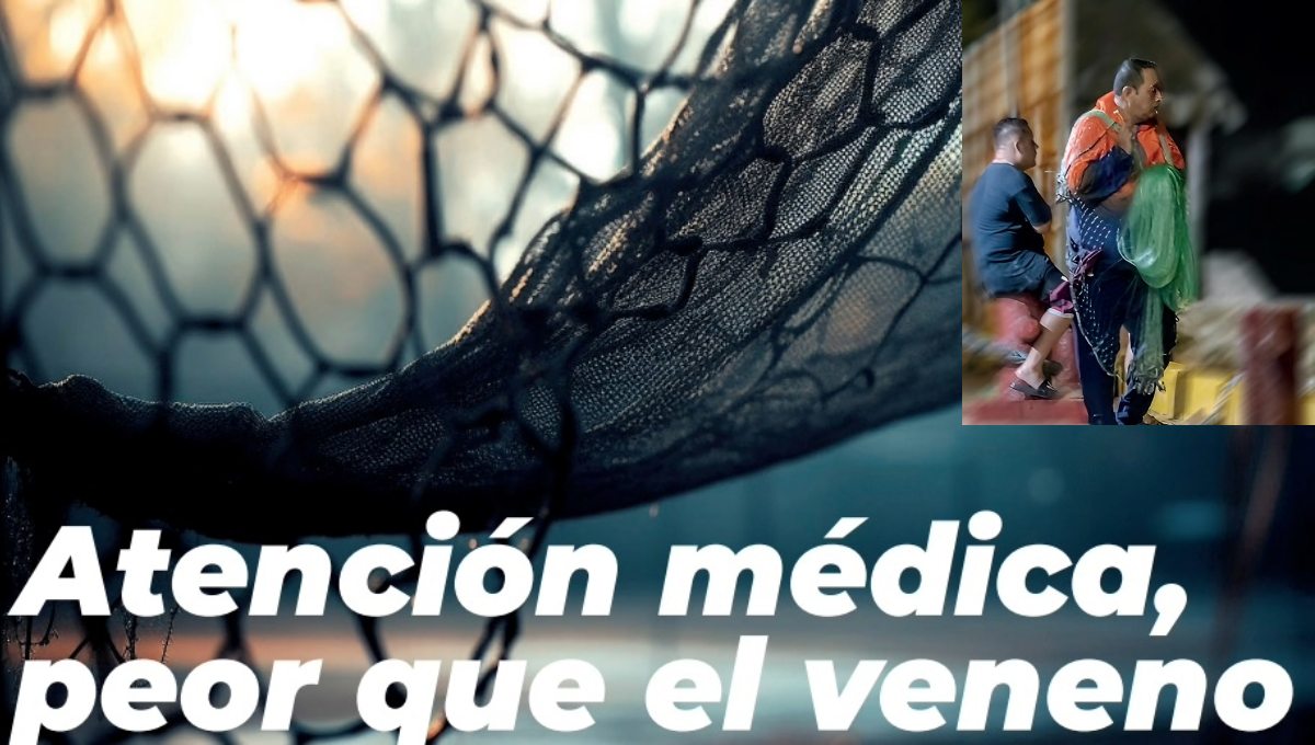 "Ingresé en medio de una ola devastadora de dengue clásico y hemorrágico", narró