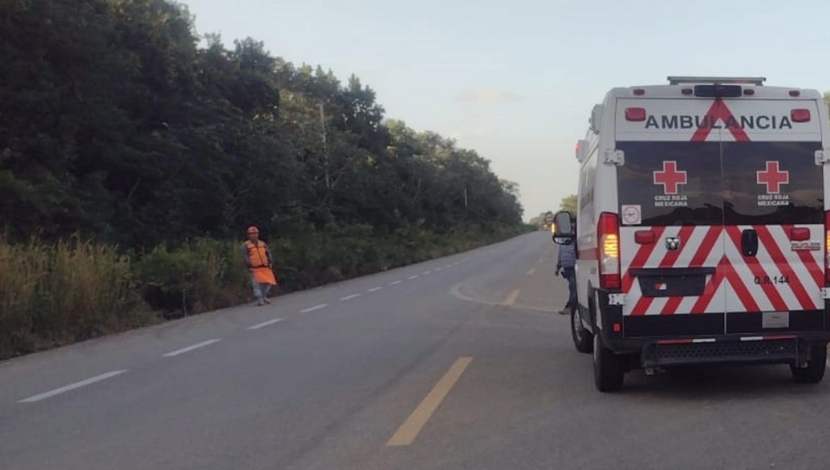 Los hechos se registraron a la altura del kilómetro 177 + 00 de la carretera federal 307