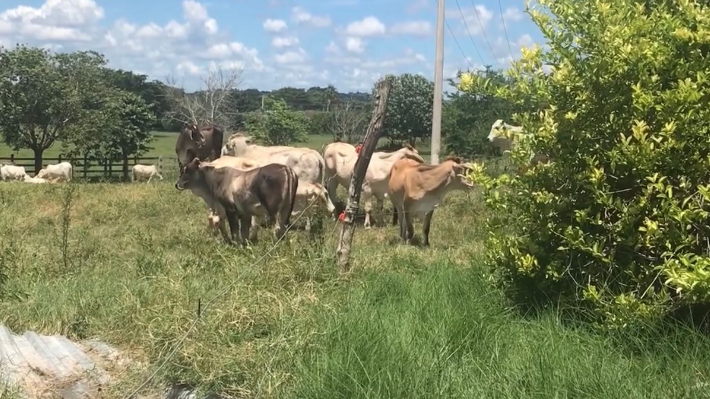Se dio a conocer que la Zona Sur de Quintana Roo no contaba con ayuda gubernamental desde hace varios sexenios. Se dio a conocer que la Zona Sur de Quintana Roo no contaba con ayuda gubernamental desde hace varios sexenios.