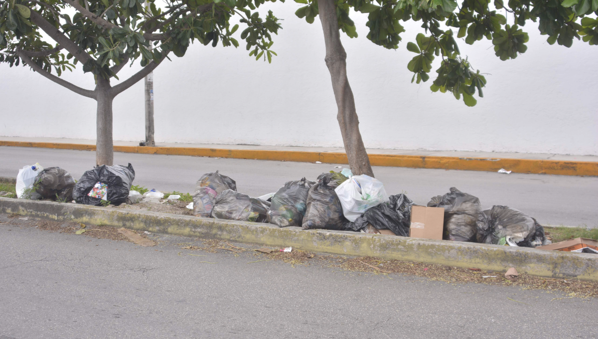 Vecinos de la Región 137 denuncian la utilización de camellones como vertederos, generando molestias y mal aspecto