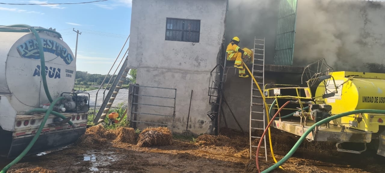 Las llamaradas consumieron todo lo que había al interior de la bodega Las llamaradas consumieron todo lo que había al interior de la bodega