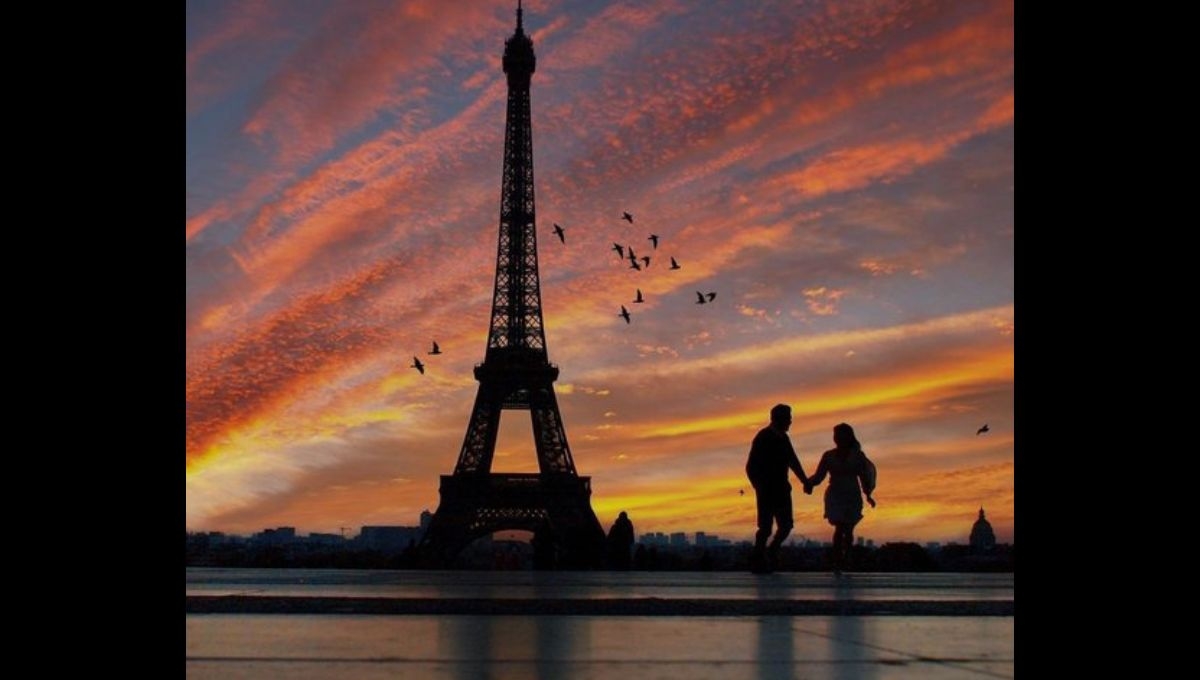 A pesar de la Huelga en la Torre Eiffel, se realizó un espectáculo de luces para conmemorar el centenario luctuoso de su creador, Gustave Eiffel A pesar de la Huelga en la Torre Eiffel, se realizó un espectáculo de luces para conmemorar el centenario luctuoso de su creador, Gustave Eiffel