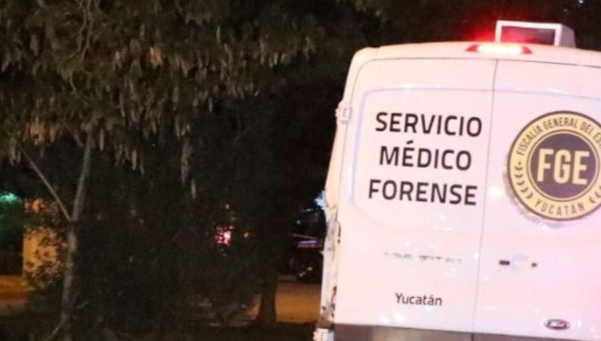 El hombre conocido como 'baby' fue apuñalado y murió al instante El hombre conocido como 'baby' fue apuñalado y murió al instante