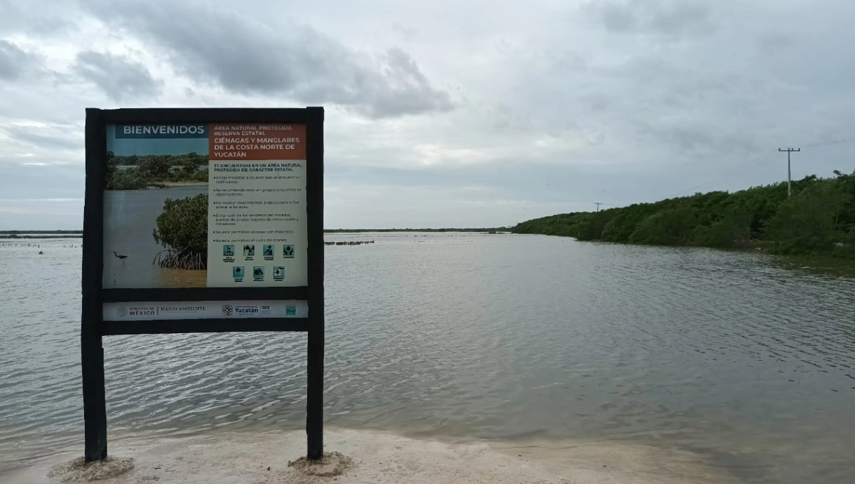De acuerdo con los habitantes del puerto, la creciente marina suele durar alrededor de una semana De acuerdo con los habitantes del puerto, la creciente marina suele durar alrededor de una semana