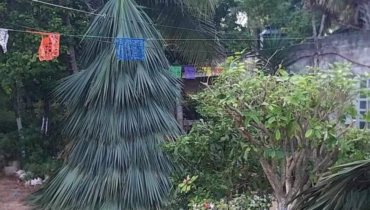 En la mayoría de los hogares se pone el árbol de navidad, pues es una pieza representativa desde hace muchos años