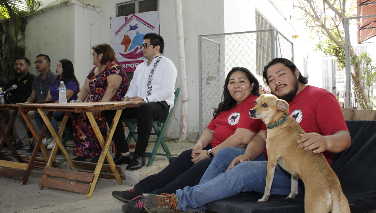 Resaltó que habrá dos caminatas, una de 3 km y la otra de uno para comunidades de perros braquicéfalos