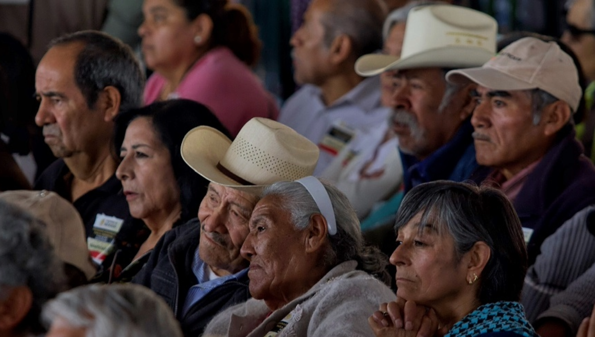 El monto económico es entregado bimestralmente