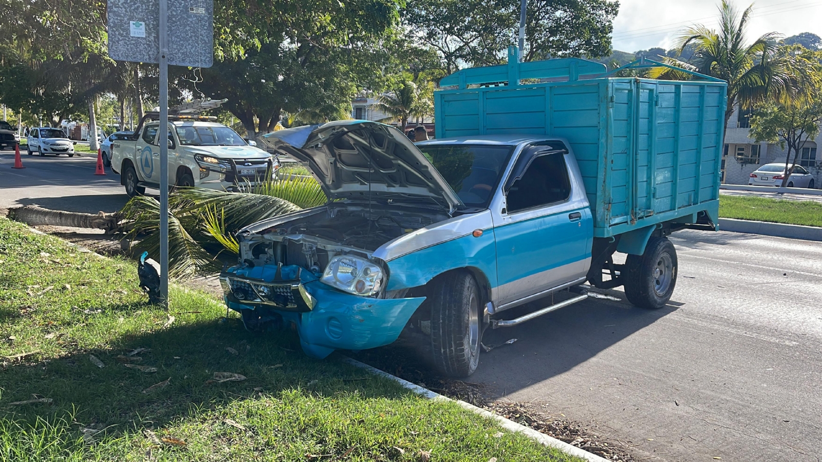 La camioneta transportaba mudanza