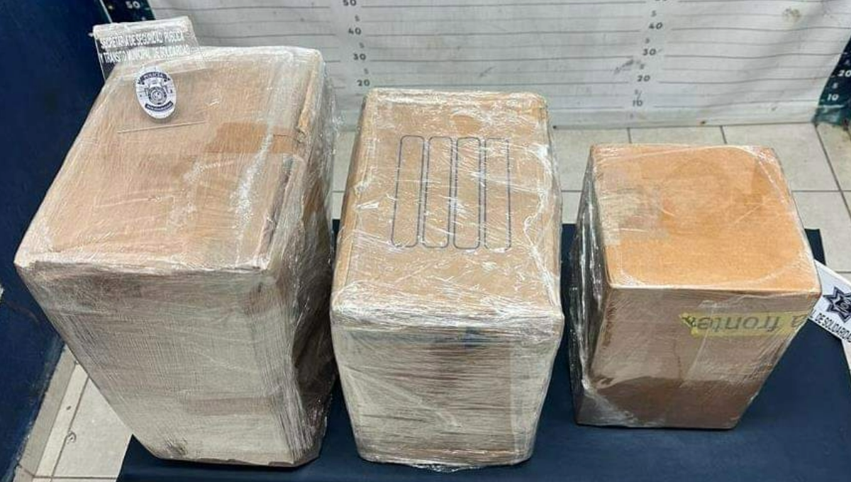 Fueron decomisados en una empesa de mensajería y paquetería Fueron decomisados en una empesa de mensajería y paquetería