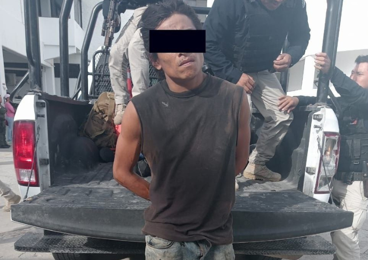 Conocido pájaro de cuentas en Campeche