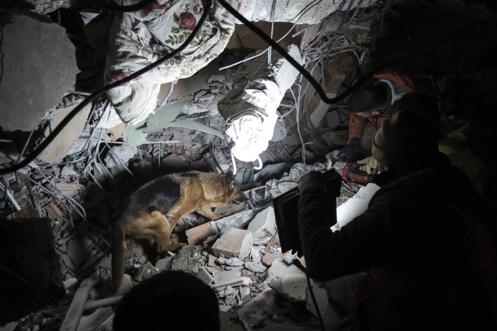 Los perros rescatistas continúan haciendo su labor entre los edificios derrumbados. Foto: Especial Los perros rescatistas continúan haciendo su labor entre los edificios derrumbados. Foto: Especial