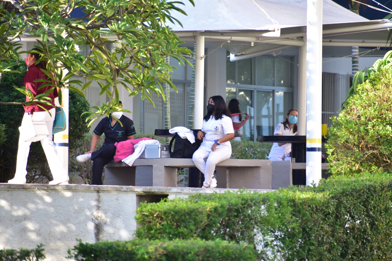 Los altos costos para titularse afectan a estudiantes de Campeche Los altos costos para titularse afectan a estudiantes de Campeche