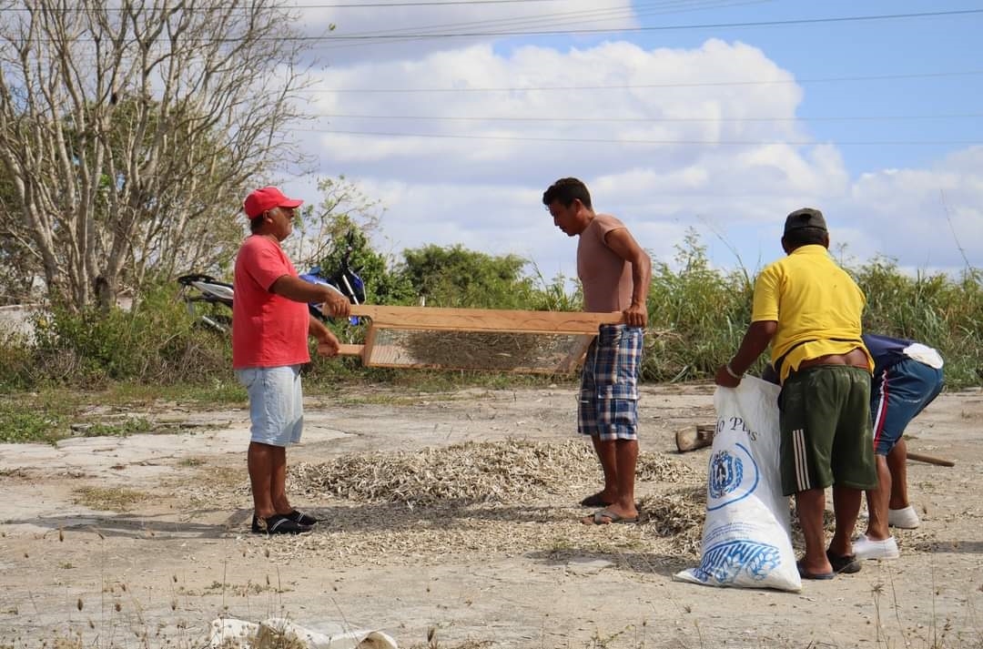 Entre enero y febrero deberían obtener los mayores volúmenes; sin embargo, ribereños exponen que la existencia del muelle y de plataformas reduce la producción Entre enero y febrero deberían obtener los mayores volúmenes; sin embargo, ribereños exponen que la existencia del muelle y de plataformas reduce la producción