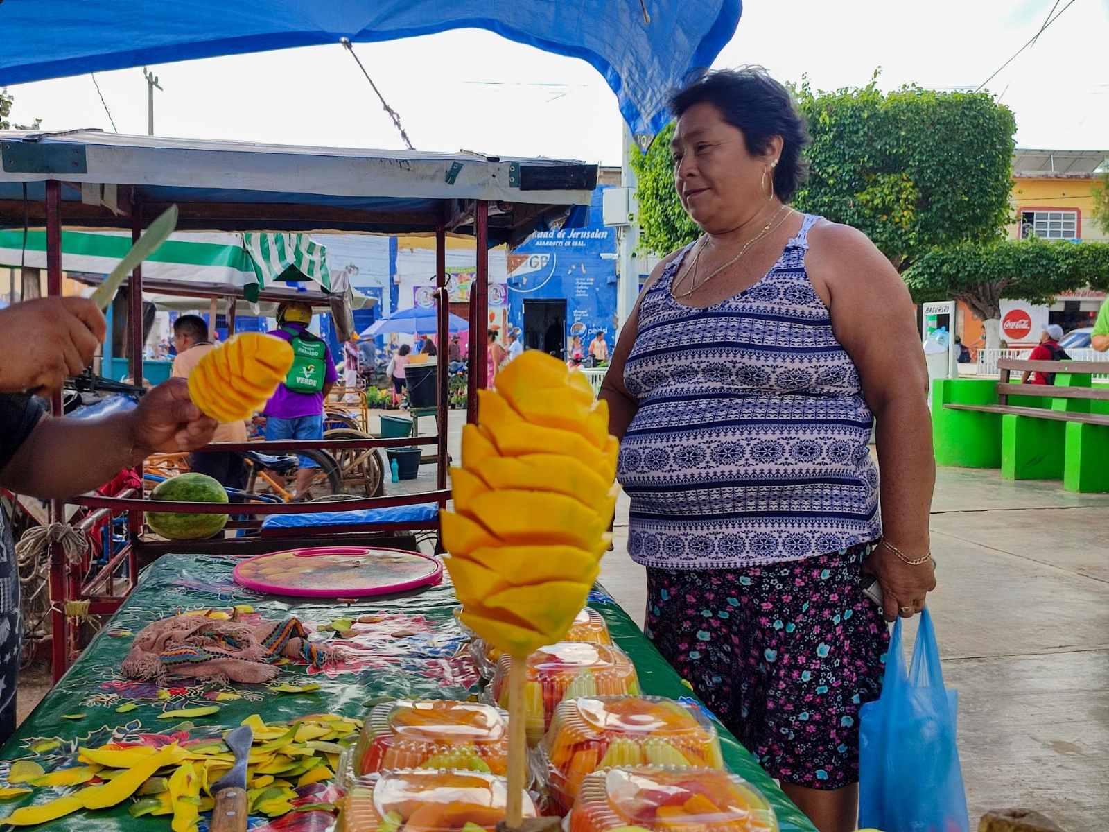 Señalaron que los habitantes esperan a que los costos disminuyan Señalaron que los habitantes esperan a que los costos disminuyan
