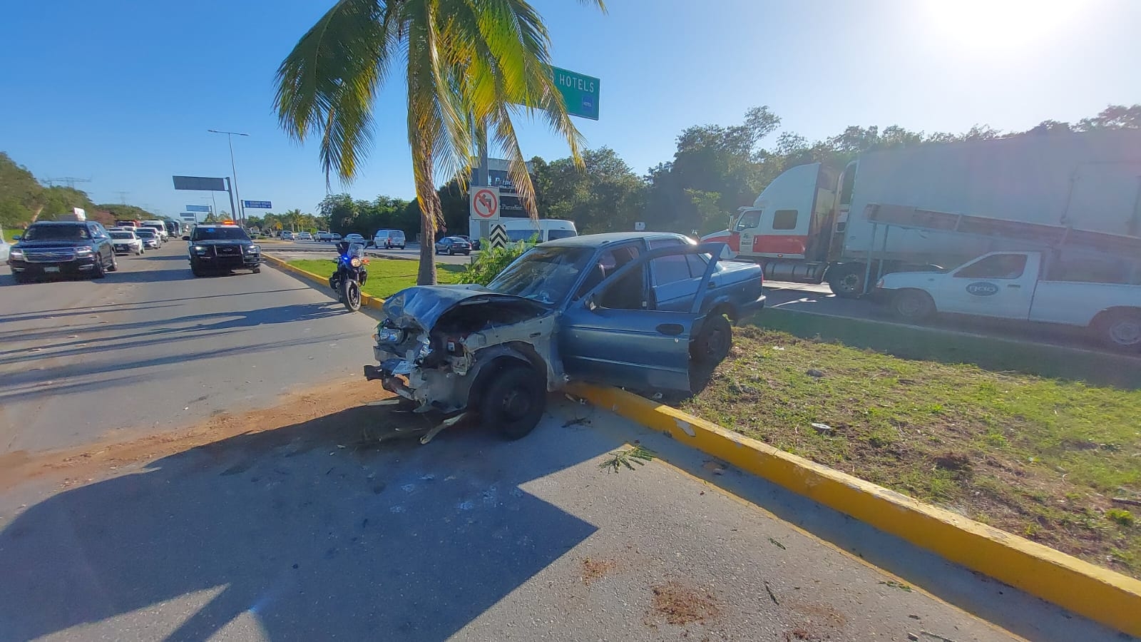 Perdió el control tras chocar y se montó al camellón en dónde derribó una palmera