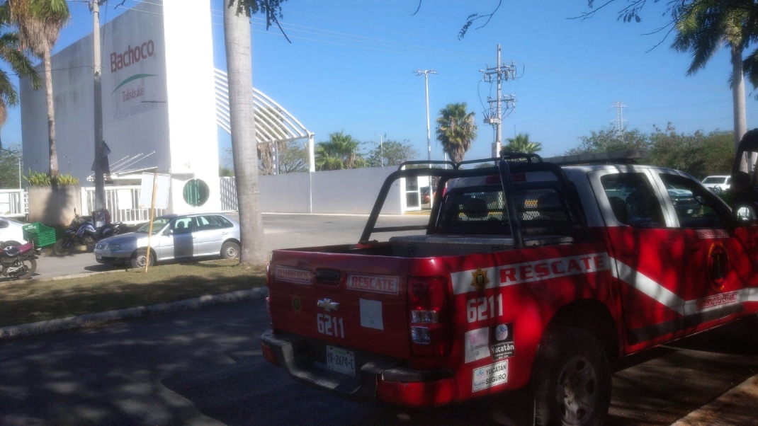 Al lugar llegaron elementos de Protección Civil