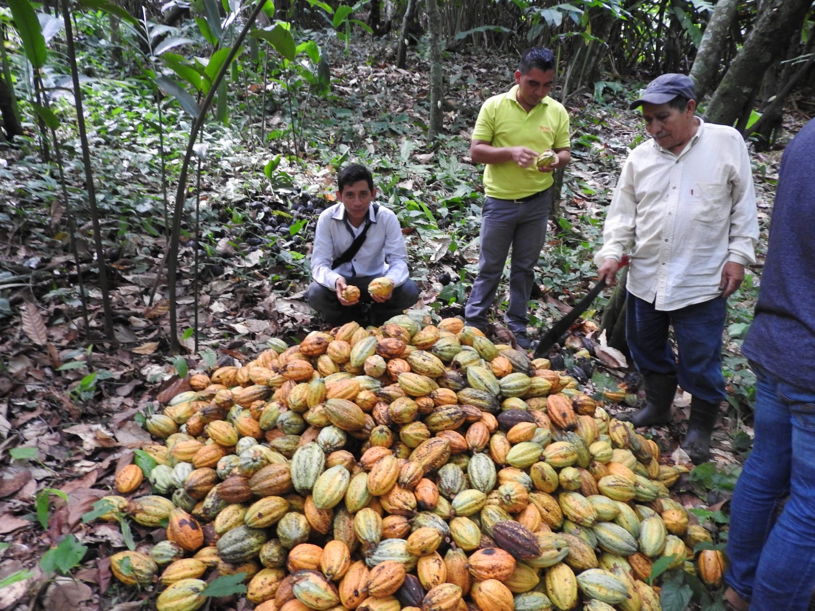 Se tratarán temas enfocados a la seguridad alimenticia y al cambio climático Se tratarán temas enfocados a la seguridad alimenticia y al cambio climático