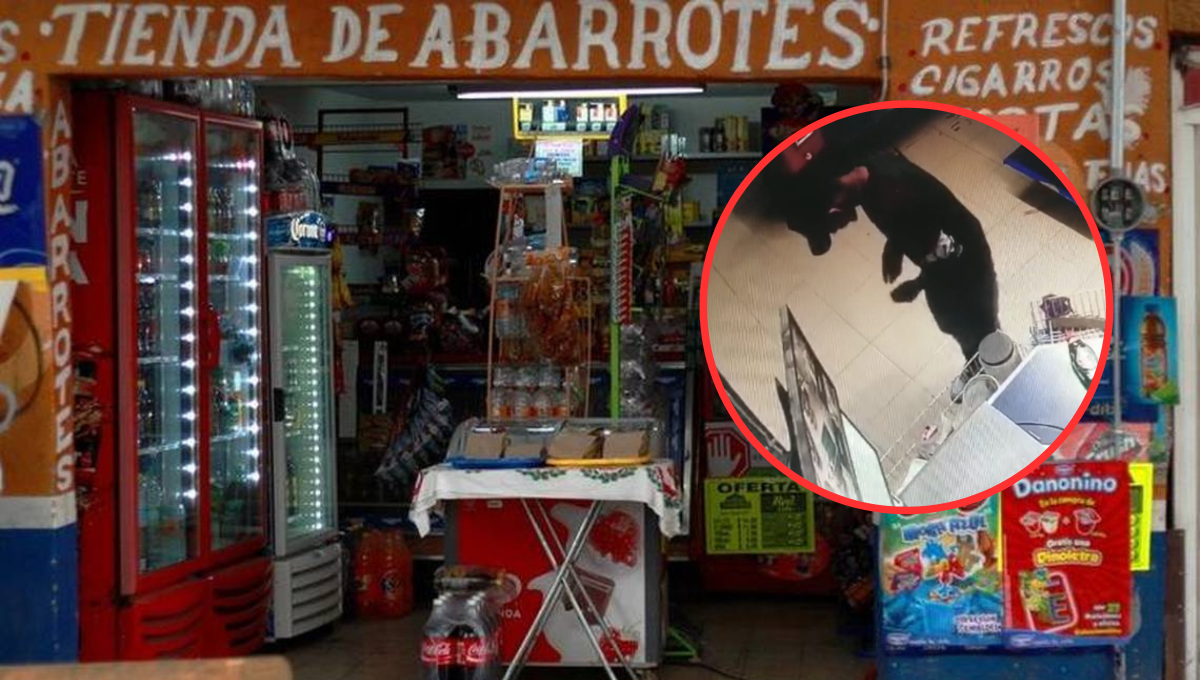 Un ladrón fue captado en video cuando robaba a mano armada una tienda de abarrotes en Champotón Un ladrón fue captado en video cuando robaba a mano armada una tienda de abarrotes en Champotón