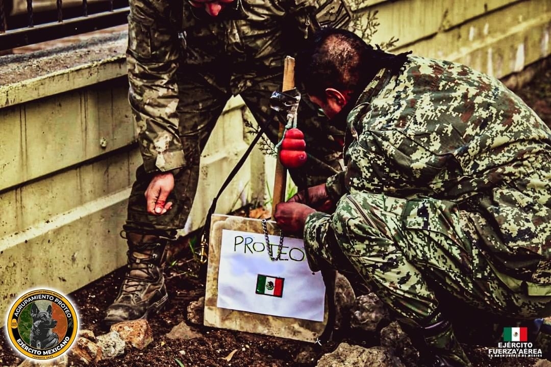 Proteo será despedido en México. Foto: Especial