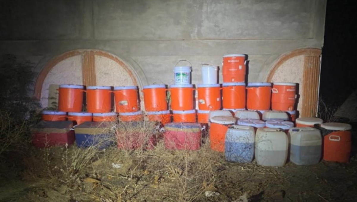 El decomiso se realizó en el municipio de Angostura, en Sinaloa