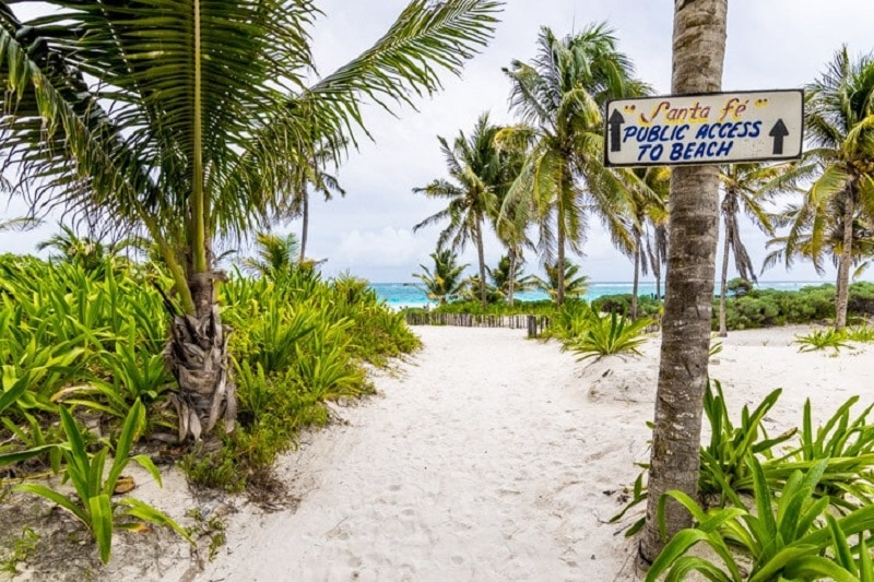El Santa Fe Beach Club fue asegurado por daños a la biodiversidad y al medio ambiente en Tulum