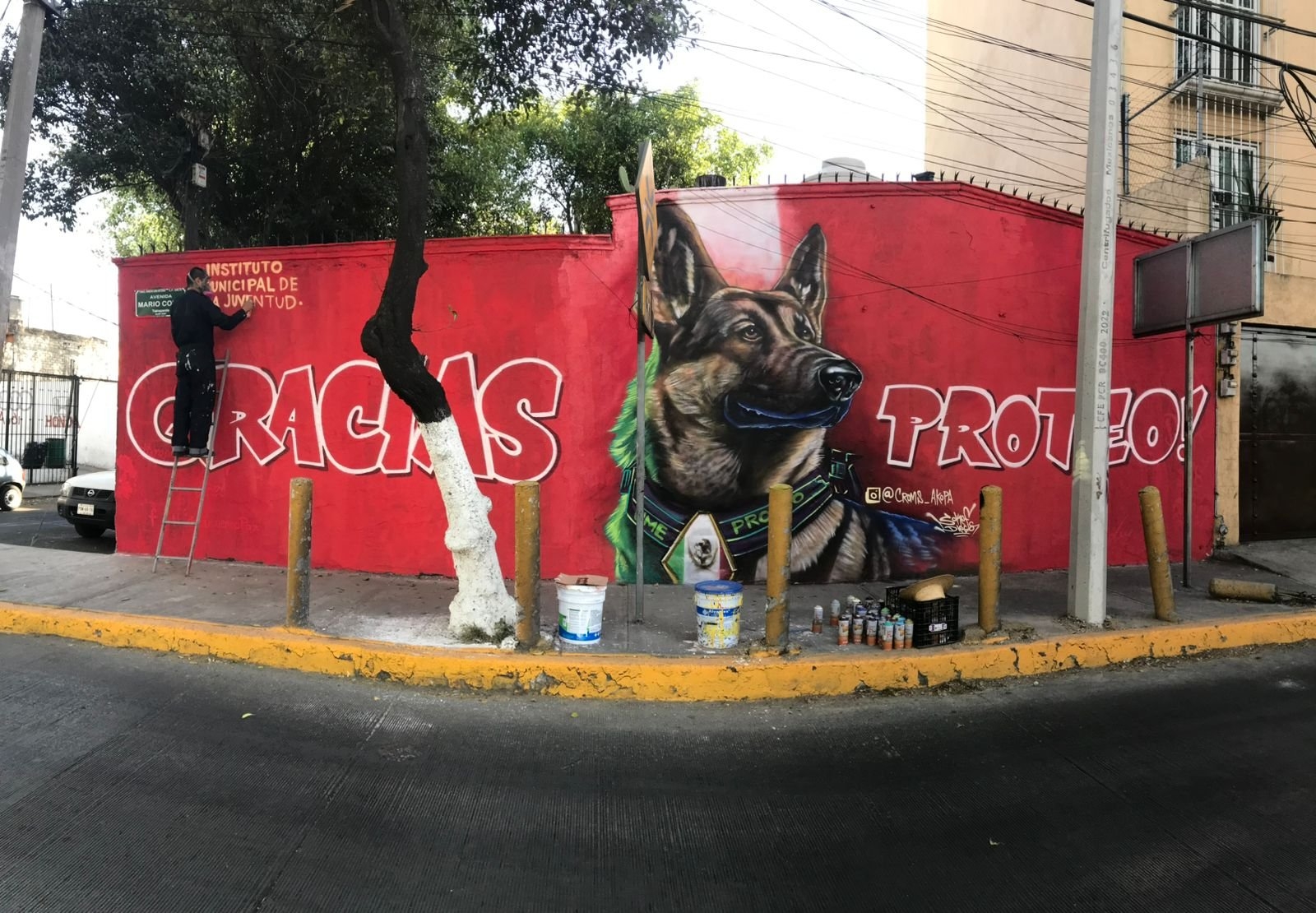 Proteo, el héroe de cuatro patas, ya cuenta con un corrido en su memoria.