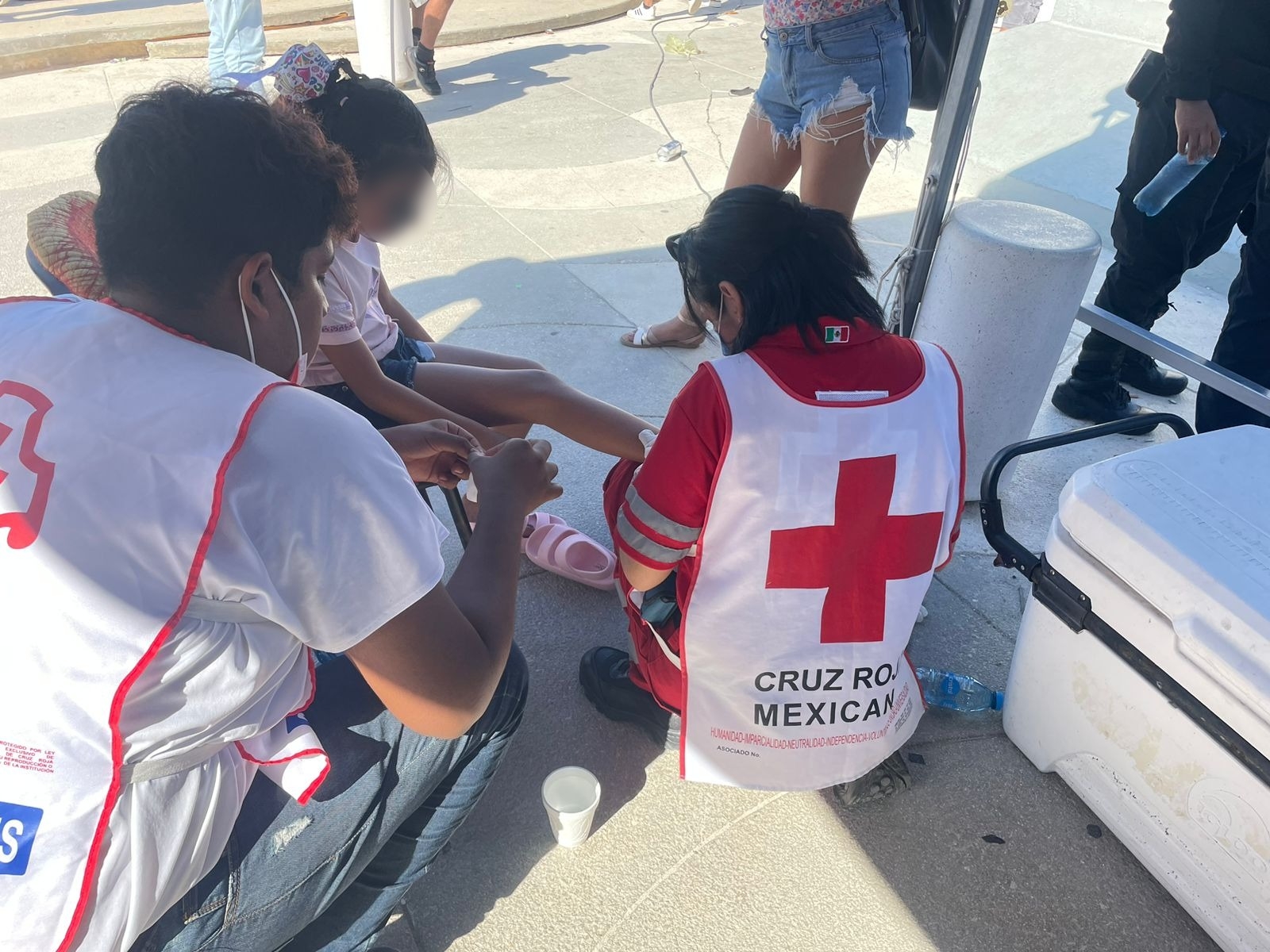 Medusas atacan al menos a 30 bañistas en las playas de Progreso