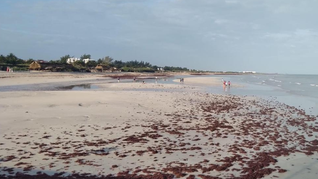 Ante el alejamiento del agua, bañistas aprovecharon para caminar sobre la arena