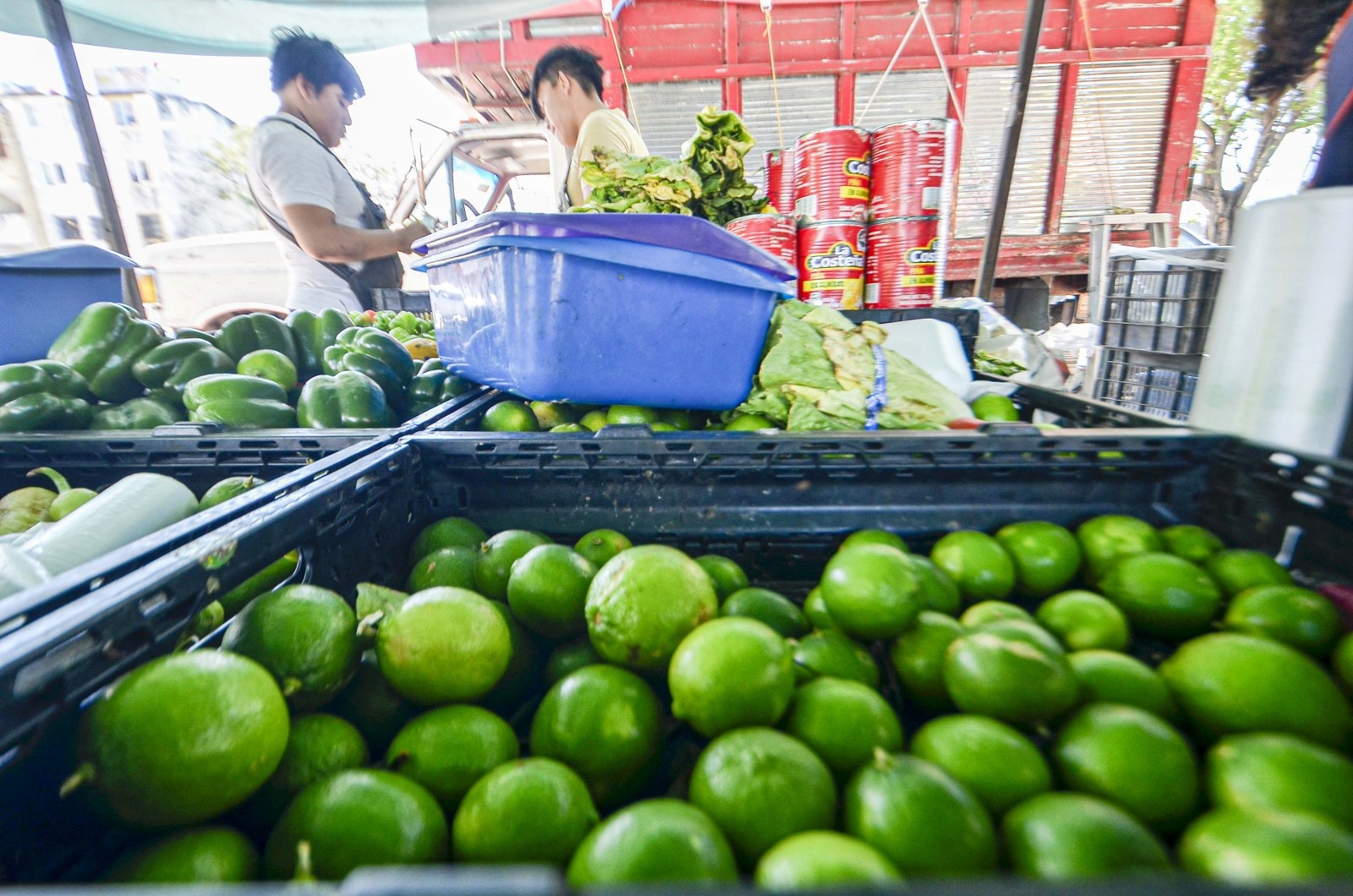La semana pasada el kilogramo del producto se ofertaba en Cancún a 25 pesos