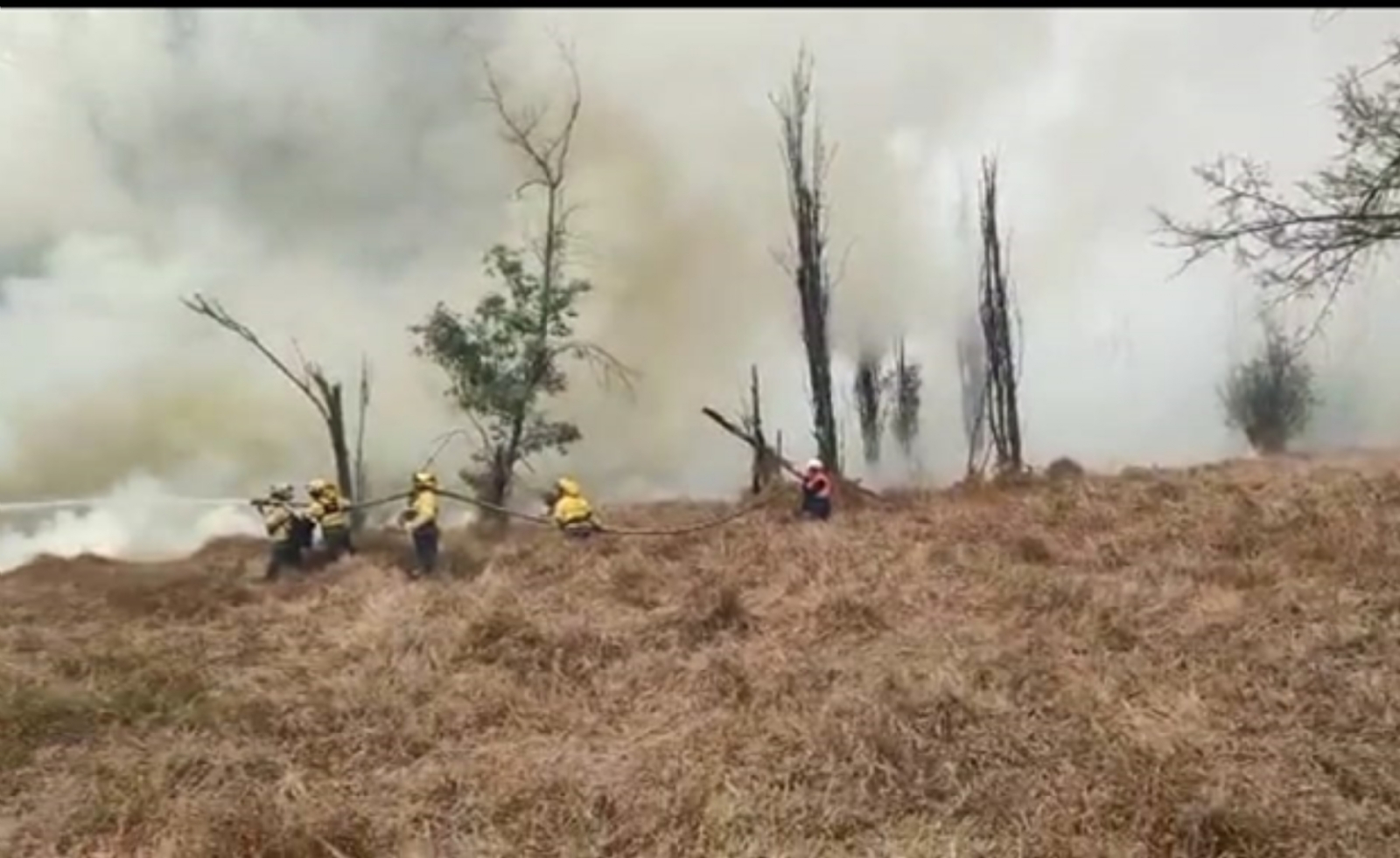 Se reportó incendio en Xochimilco que consumió 10 hectáreas
