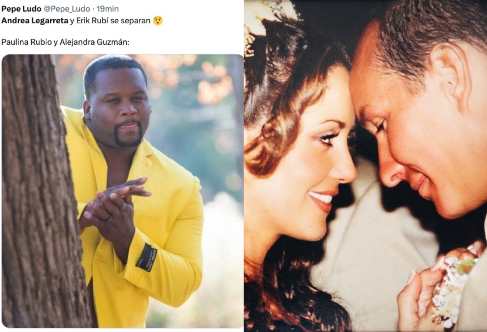 Alejandra Legarreta y Erick Rubín se separan y los memes no se hacen esperar Alejandra Legarreta y Erick Rubín se separan y los memes no se hacen esperar