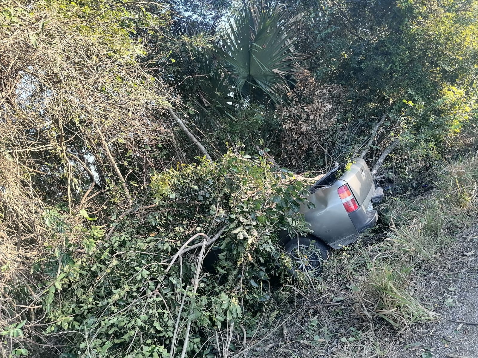 El conductor se retiró del lugar para dirigirse a su predio en la comisaria de San Pedro Bacab para pedir ayuda, activándose de esta manera los servicios de emergencia El conductor se retiró del lugar para dirigirse a su predio en la comisaria de San Pedro Bacab para pedir ayuda, activándose de esta manera los servicios de emergencia