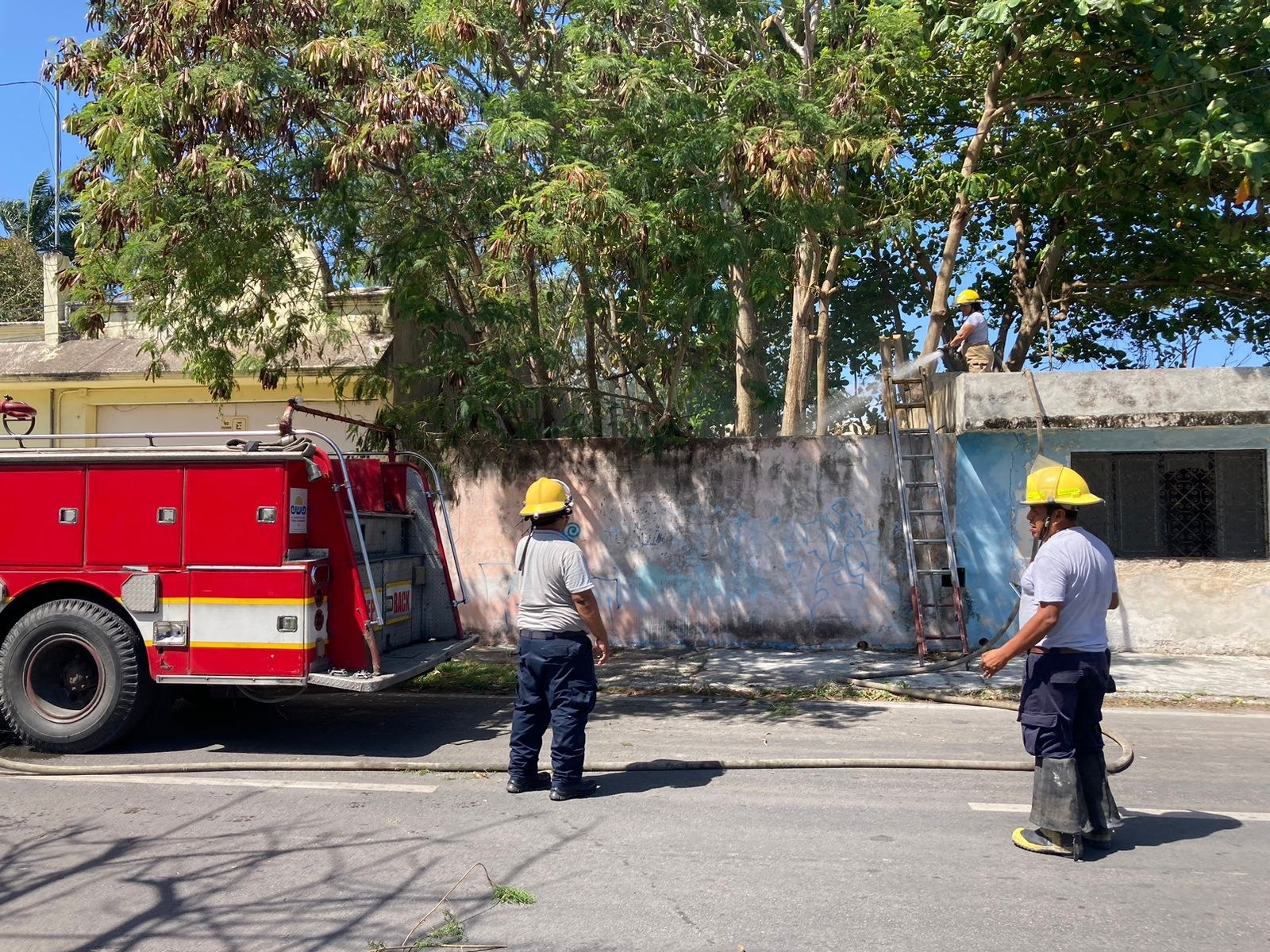 Bomberos apagaron las llamas y recomendaron a los vecinos que eviten las quemas clandestinas de basura Bomberos apagaron las llamas y recomendaron a los vecinos que eviten las quemas clandestinas de basura