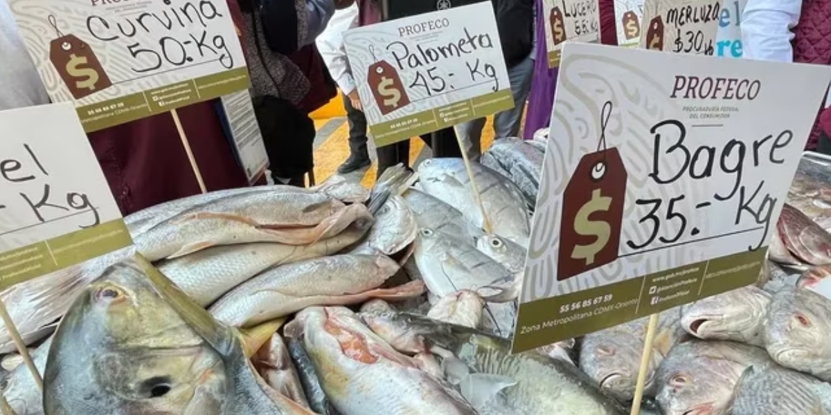 Los precios lucen con papeletas oficiales de la Profeco. Foto: Especial