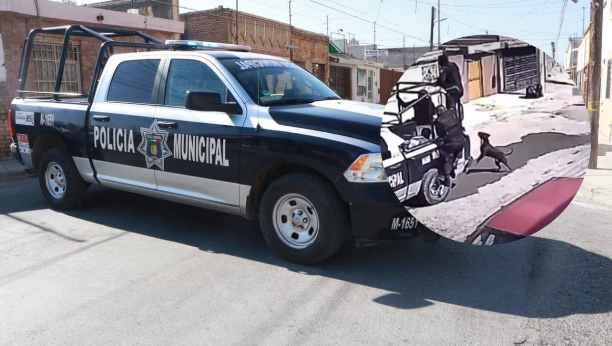 Fueron al menos 5 policías los que sufrieron el ataque de un pitbull durante un operativo en Coahuila
