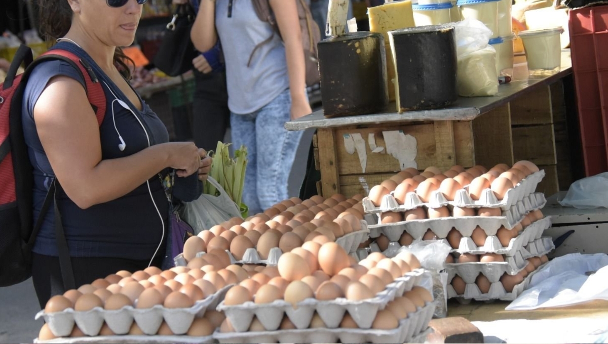 En las tiendas el huevo se vende en 97 pesos En las tiendas el huevo se vende en 97 pesos