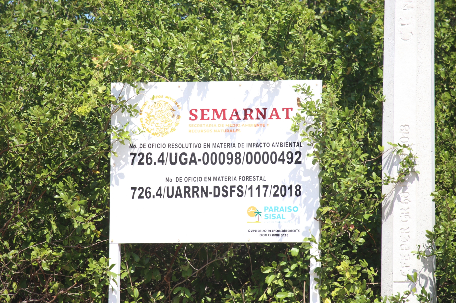 La Semarnat autorizó la ampliación y la construcción de un nuevo camino que permitiera la electrificación de la zona La Semarnat autorizó la ampliación y la construcción de un nuevo camino que permitiera la electrificación de la zona