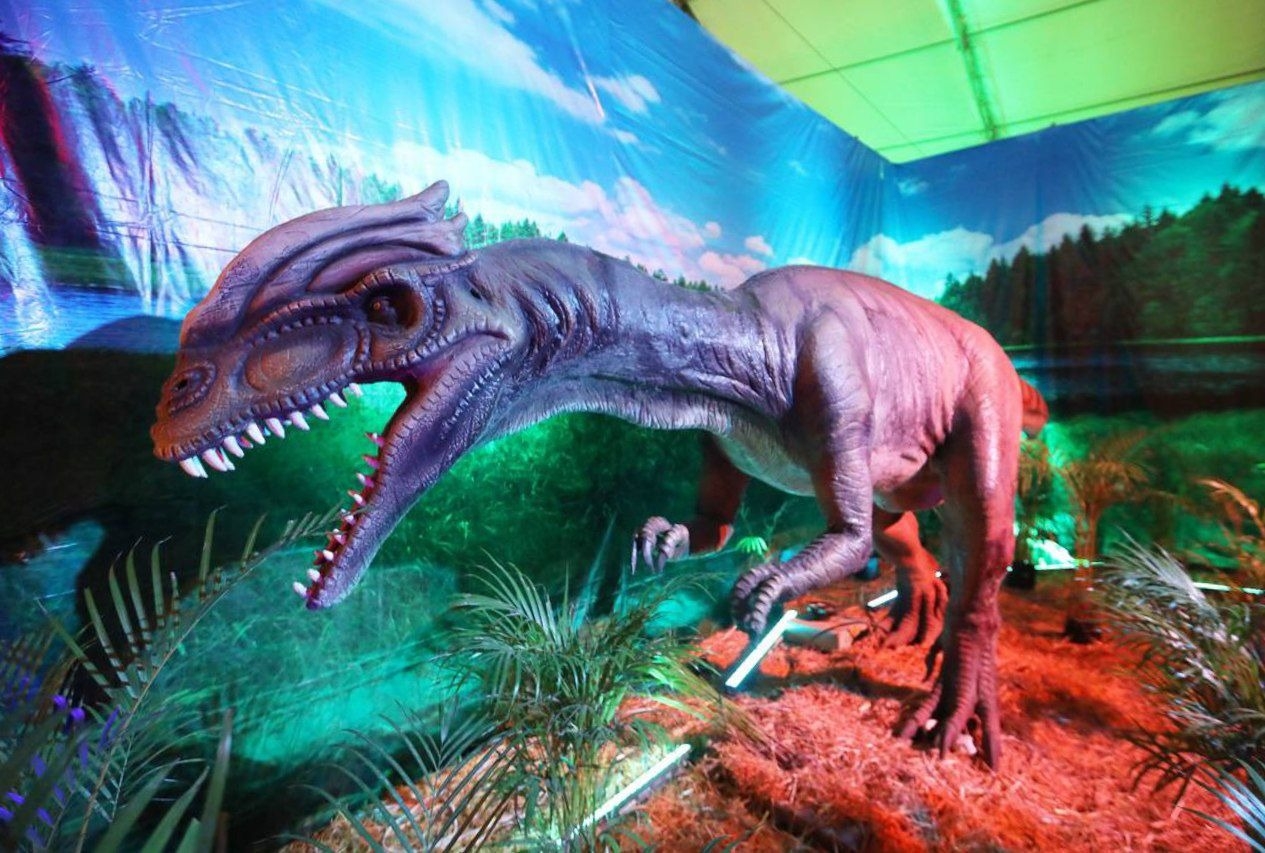 La Expo Dinosarios llegará a Mérida durante el mes de marzo