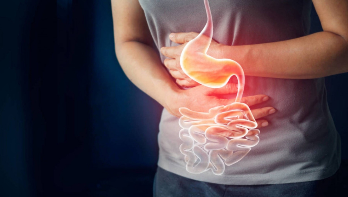 Las infecciones fueron causadas por parásitos y gusanos Las infecciones fueron causadas por parásitos y gusanos